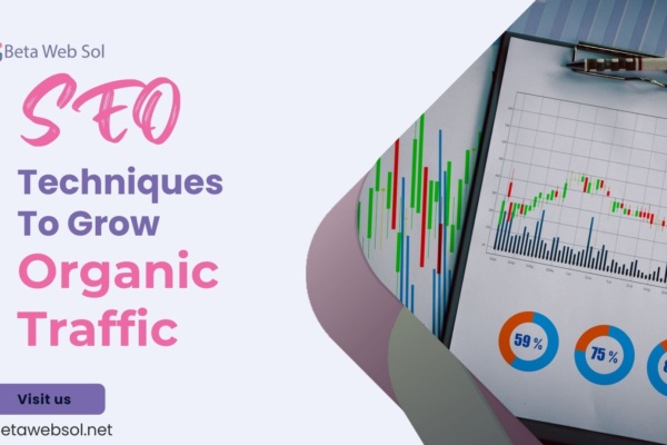 SEO Techniques To Grow Organic Traffic